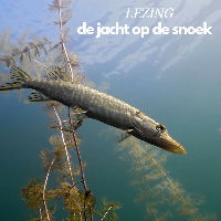 Zomerschool: Lezing 'De jacht op de snoek'