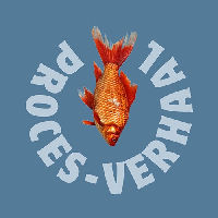 Proces-Verhaal 29-08-2025 20:00