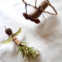 Insecten in Doornakkers