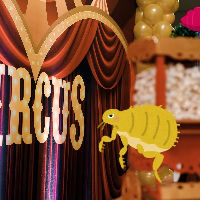 Kids 'n Billies 2025
