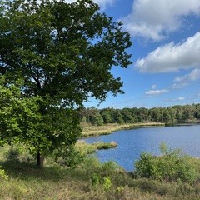 Natuurwandeling in de Hartertse Vennen