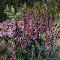 Ontdek de schilderijen van Clarie Muis