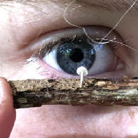 Paddenstoelenexcursie (6+)