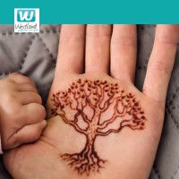 Cursus Stamboomonderzoek