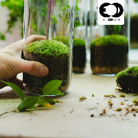 Zomerse terrariumtocht: Op ontdekking door Drachten! (7+)