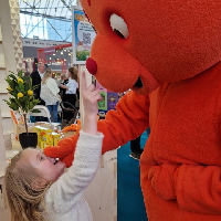 Dikkie Dik feest & film