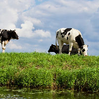 Familiedag bij Boerderij De Vooruitgang