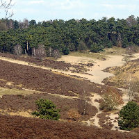 Breek de Week 20-08-2025 10:30