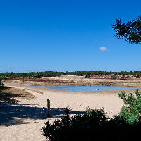 Met Ad op pad: Wandelen door de duinen