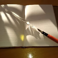 Dag & Dauw 27-11-2025 10:00