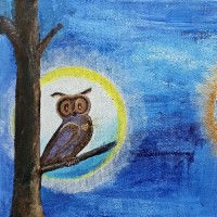 Boekpresentatie Carla van Olst: Wanneer het Licht je hart raakt