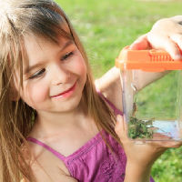 Mad Science | Griezelige insecten