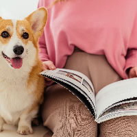 Voorlezen: Dierendag Vol Avontuur!