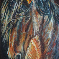 Expositie: Het trekpaard leeft!