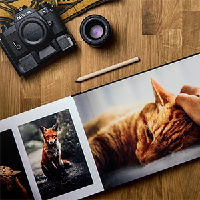 Cursus | Maak je eigen fotoalbum