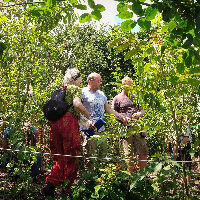 Proeftuin On Tour - Rondleiding Eetbaar Irenebos