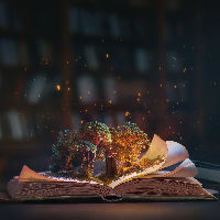 Magiedag in de bibliotheek