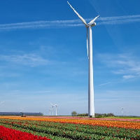 Natuurhistorische Lezing: Eens ging de zee hier tekeer!