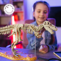 Weekend van de Wetenschap: Op fossielenjacht met Naturalis