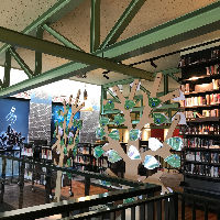 Expositie: Fairtrade Bomen