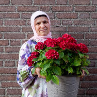 Foto-expositie Yasagül Celik: 'Een leven lang ontwikkelen'