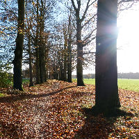 De natuur in Scherpenzeel