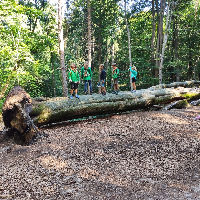 Op avontuur met Scouting Steyn