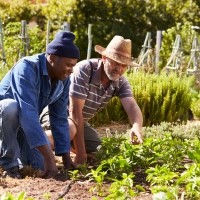 Basiscursus natuurvriendelijk moestuinieren