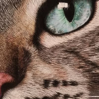 Expositie Esther van der Graaf “Arty by Esther”