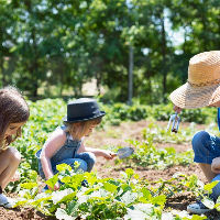 Ouder & Kind Café Beesel – Op Tuinsafari!