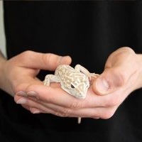 Reptielenworkshop