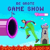 De grote gameshow