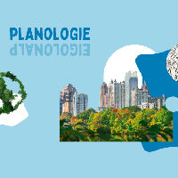 Online Seniorencolleges - Planologie: steden vol structuur én natuur