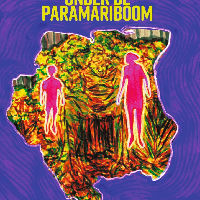 Leeskring Samen Lezen voor anderstaligen (NT2)