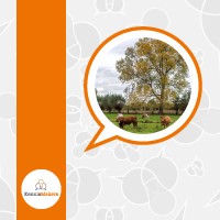 Kennismakers: Verhalen van bomen