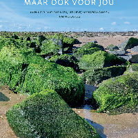 Lezing: 'Mijn gedichten, maar ook voor jou' – Merlijn de Leeuw