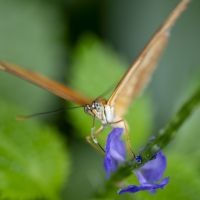 Workshop 'Macrofotografie' door VOFMB