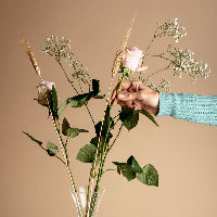 Introductieles Ikebana - Japans bloemschikken