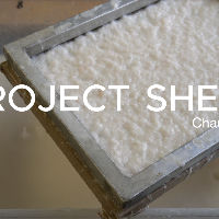 DDW 2025 - Papermaking Workshop: Write on What’s Worth! 19-10-2025 14:00