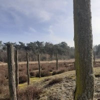 Het Verborgen Verleden van de Slabroekse Heide