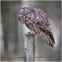 Expositie van Fotogroep Zoetermeer