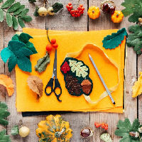 Crea-ochtend bij Crimpen-Inn: samen creatief en gezellig! 30-10-2025 10:00