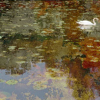 Expositie: The Echo of Light