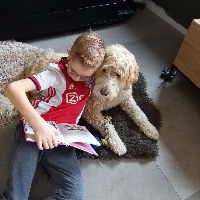 Voorleessessie met voorleeshond Oscar (6+)