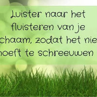 Lezing NEI-therapie en Human Design