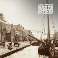 Lezing Van moeras tot Philips