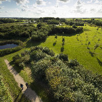 Lezing: Historie Abtswoudse Bos ‘Van veenmoeras tot bos’
