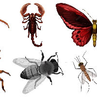 Workshop insectenhotel