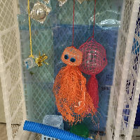 Workshop Plastic Soep