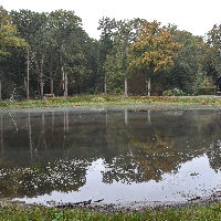 Green Café nature walk with IVN: Wielewaal